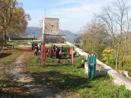 IMG_2242_small