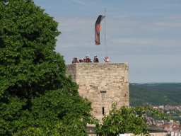 IMG_0240_small