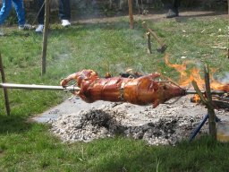 IMG_3715_small